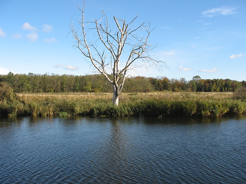 Killikus&reg; Fotographie